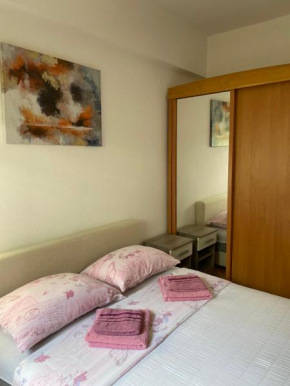 Apartment Hladovina